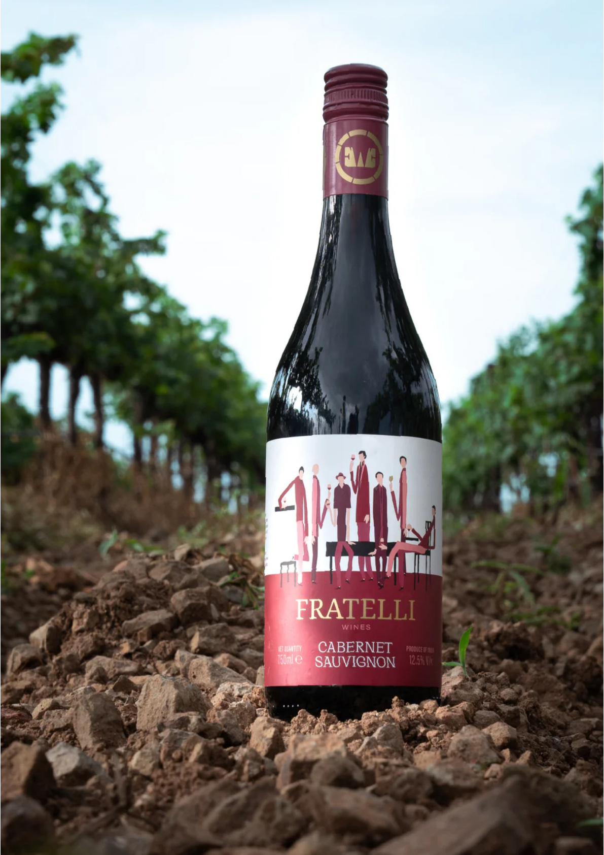 Fratelli Cabernet Sauvignon Indian wine - available at LCBO Ontario